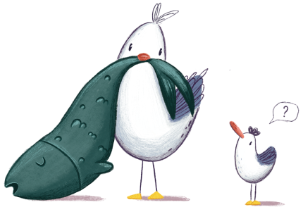 Birds
