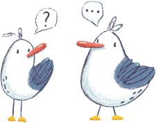 Birds